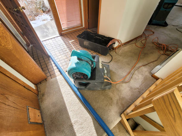 Best 24/7 water damage repair  in Aurora, IN