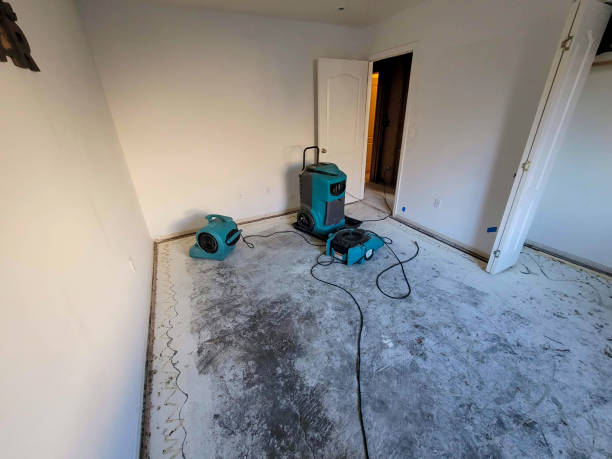 Best Water damage restoration near me  in Aurora, IN