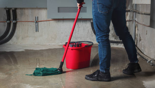 Best Water damage restoration near me  in Aurora, IN