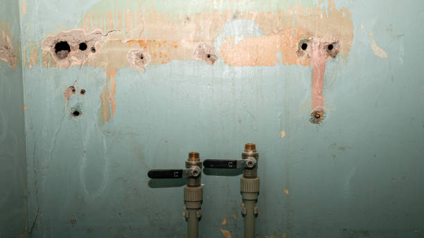 Professional Water damage restoration in Aurora, IN