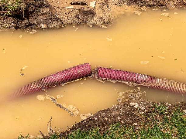 Best Carpet water damage restoration  in Aurora, IN